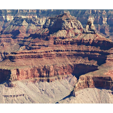 Grand Canyon 1 White Modern Wood Framed Art Print by Coomes, Sylvia