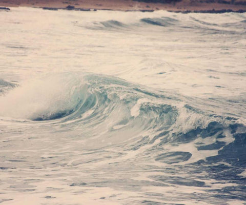 Ocean Wave 2 Black Ornate Wood Framed Art Print with Double Matting by Coomes, Sylvia