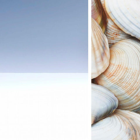 Spa Collage I Black Modern Wood Framed Art Print with Double Matting by Orlov, Irena