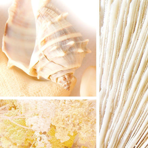 Spa Collage II White Modern Wood Framed Art Print with Double Matting by Orlov, Irena