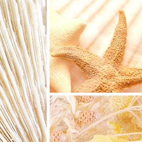 Spa Collage III Black Modern Wood Framed Art Print by Orlov, Irena