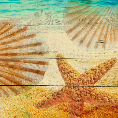 On Sandy Beach II Black Ornate Wood Framed Art Print with Double Matting by Orlov, Irena