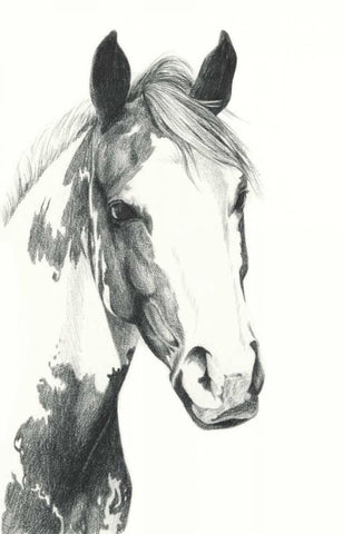 American Paint I White Modern Wood Framed Art Print with Double Matting by Popp, Grace