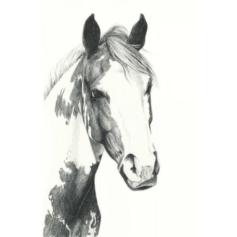 American Paint I White Modern Wood Framed Art Print by Popp, Grace