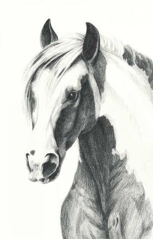 American Paint II White Modern Wood Framed Art Print with Double Matting by Popp, Grace