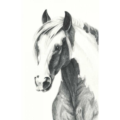 American Paint II Black Modern Wood Framed Art Print by Popp, Grace