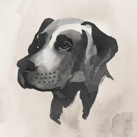 Inked Dogs I White Modern Wood Framed Art Print by Popp, Grace