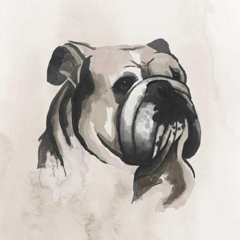 Inked Dogs III Black Modern Wood Framed Art Print by Popp, Grace