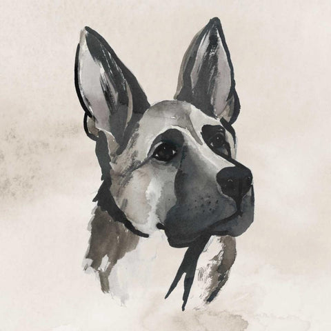 Inked Dogs IV White Modern Wood Framed Art Print by Popp, Grace