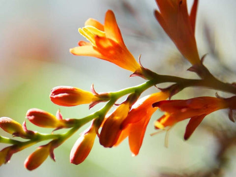 Open Sunshine II White Modern Wood Framed Art Print with Double Matting by Nourock, Jonathan