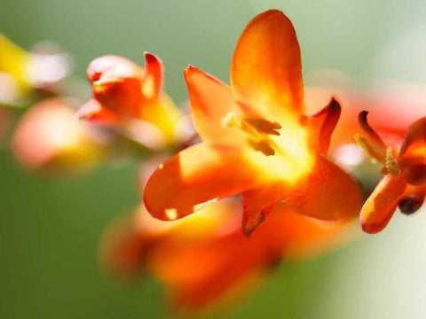 Open Sunshine IV White Modern Wood Framed Art Print with Double Matting by Nourock, Jonathan