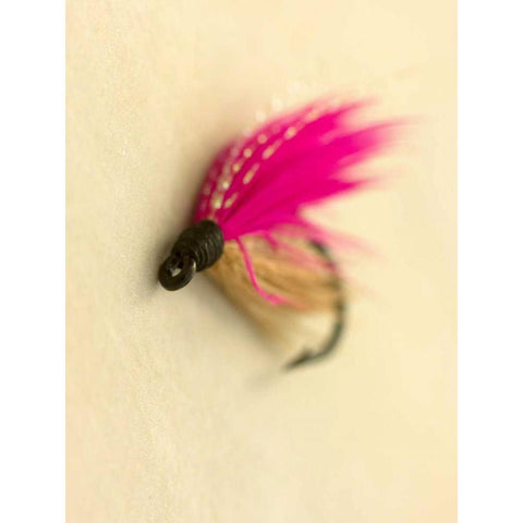 Macro Lure I Black Modern Wood Framed Art Print by Stalus, Judy