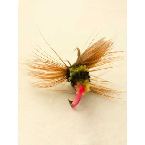 Macro Lure IV Black Modern Wood Framed Art Print with Double Matting by Stalus, Judy