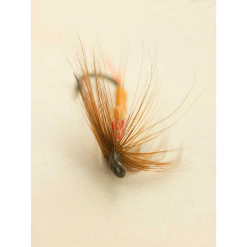 Macro Lure V White Modern Wood Framed Art Print by Stalus, Judy