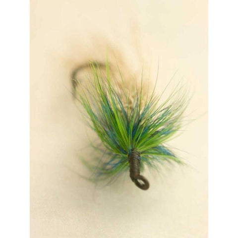 Macro Lure VI Black Modern Wood Framed Art Print by Stalus, Judy