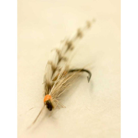 Macro Lure IX Black Modern Wood Framed Art Print by Stalus, Judy