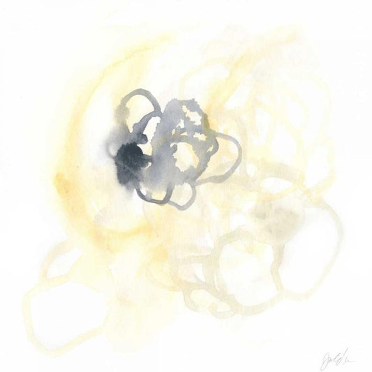 Image Only