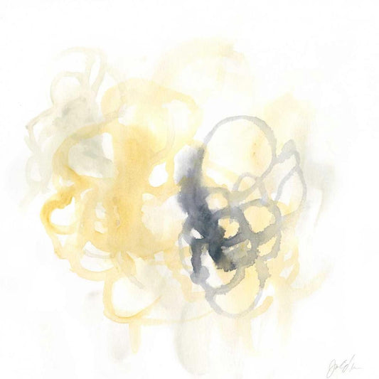 Image Only