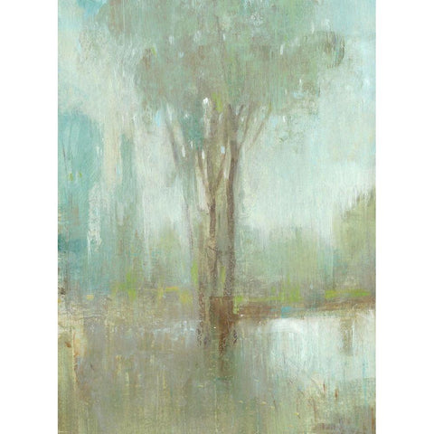 Mist in the Glen I Black Modern Wood Framed Art Print with Double Matting by OToole, Tim