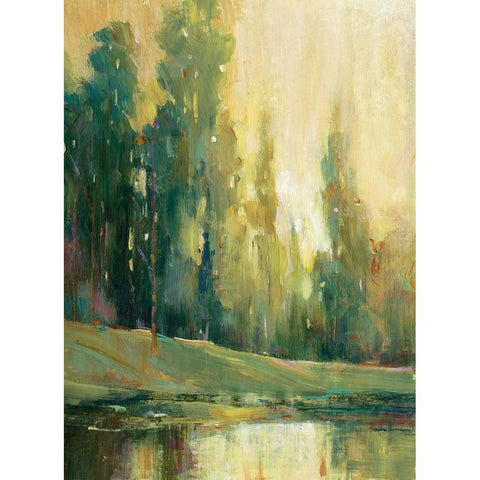 Fishing Spot II White Modern Wood Framed Art Print by OToole, Tim