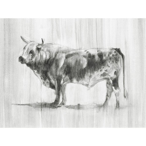 Rustic Bovine II Gold Ornate Wood Framed Art Print with Double Matting by Harper, Ethan