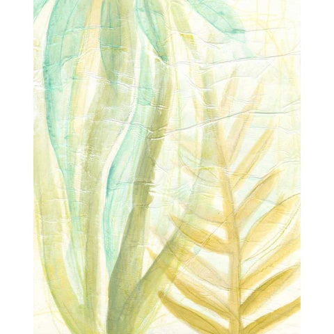 Tropical Inference I Black Modern Wood Framed Art Print with Double Matting by Vess, June Erica