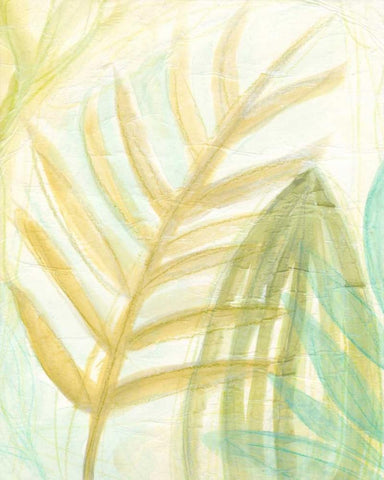 Tropical Inference II White Modern Wood Framed Art Print with Double Matting by Vess, June Erica