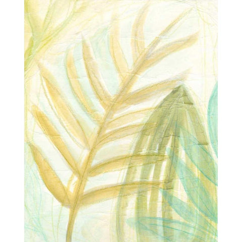 Tropical Inference II Black Modern Wood Framed Art Print by Vess, June Erica