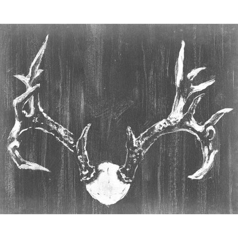 Graphic Mount II Black Modern Wood Framed Art Print by Harper, Ethan