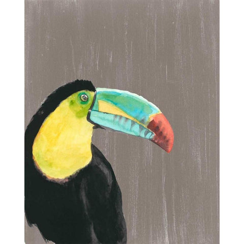 Vibrant Plumage I Black Modern Wood Framed Art Print with Double Matting by McCavitt, Naomi