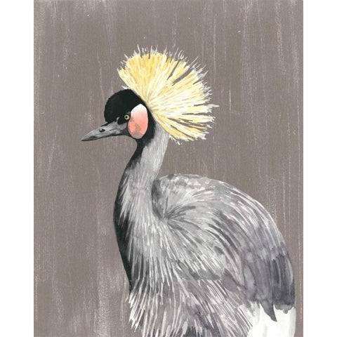 Vibrant Plumage II Gold Ornate Wood Framed Art Print with Double Matting by McCavitt, Naomi