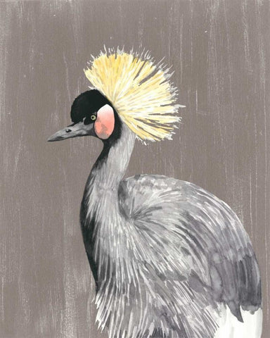 Vibrant Plumage II Black Ornate Wood Framed Art Print with Double Matting by McCavitt, Naomi