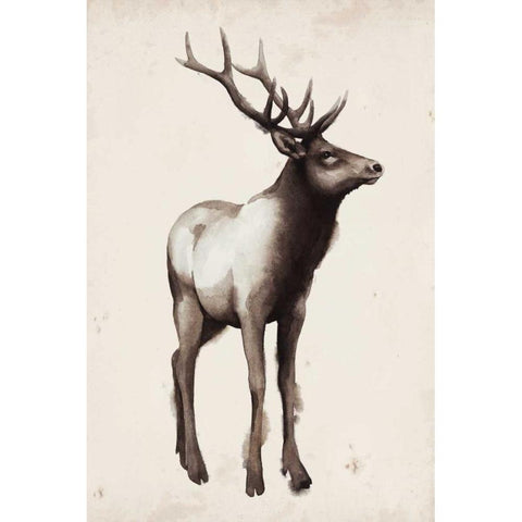 Northern Journey I Black Modern Wood Framed Art Print with Double Matting by Popp, Grace