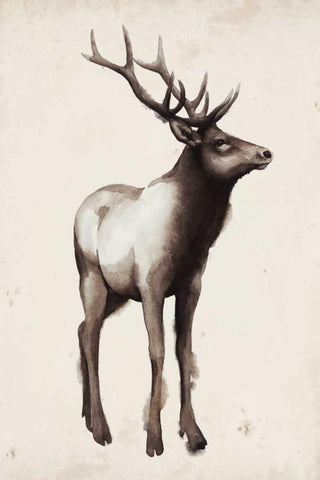 Northern Journey I White Modern Wood Framed Art Print with Double Matting by Popp, Grace