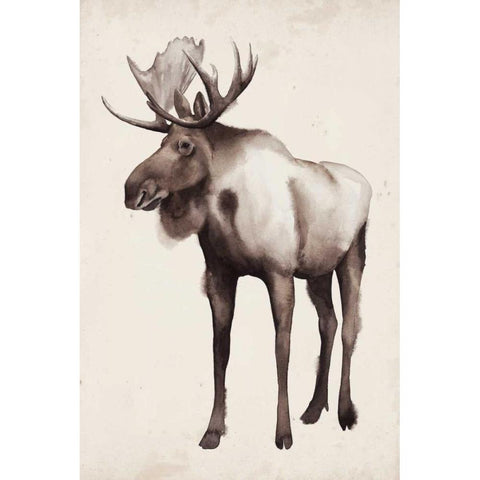 Northern Journey II Black Modern Wood Framed Art Print with Double Matting by Popp, Grace