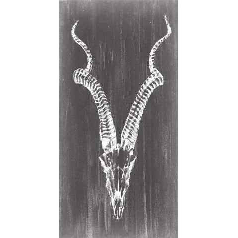 Elongated Mount I Black Modern Wood Framed Art Print with Double Matting by Harper, Ethan