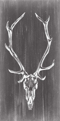 Elongated Mount II Black Ornate Wood Framed Art Print with Double Matting by Harper, Ethan