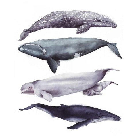 Whale Stack I Black Modern Wood Framed Art Print by Popp, Grace