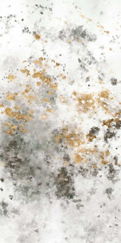 Gilded Mist II Black Ornate Wood Framed Art Print with Double Matting by Studio W