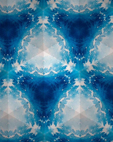 Sapphire Frost III Black Ornate Wood Framed Art Print with Double Matting by Stramel, Renee W.