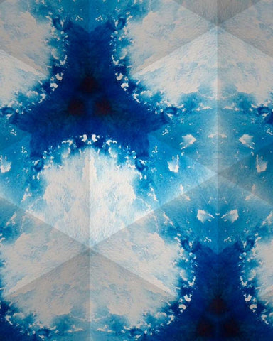 Sapphire Frost IV Black Ornate Wood Framed Art Print with Double Matting by Stramel, Renee W.
