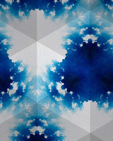 Sapphire Frost V Black Ornate Wood Framed Art Print with Double Matting by Stramel, Renee W.