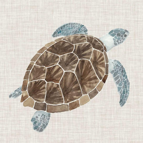 Sea Turtle I White Modern Wood Framed Art Print with Double Matting by McCavitt, Naomi