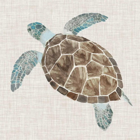 Sea Turtle II White Modern Wood Framed Art Print by McCavitt, Naomi