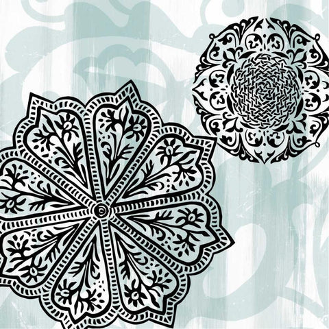 Rosettes on Aqua II Black Modern Wood Framed Art Print with Double Matting by Studio W