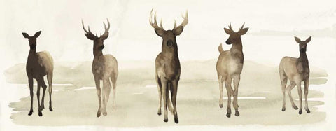 Deer Line I White Modern Wood Framed Art Print with Double Matting by Popp, Grace
