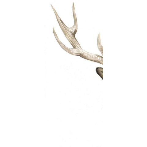 Triptych Elk I Gold Ornate Wood Framed Art Print with Double Matting by Popp, Grace