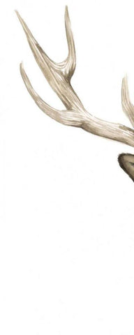 Triptych Elk I Black Ornate Wood Framed Art Print with Double Matting by Popp, Grace