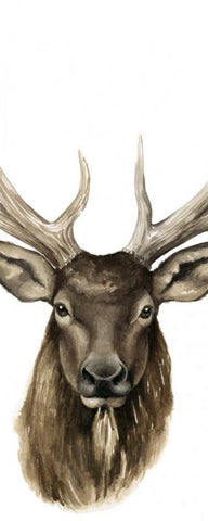 Triptych Elk II White Modern Wood Framed Art Print with Double Matting by Popp, Grace