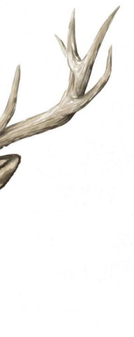 Triptych Elk III White Modern Wood Framed Art Print with Double Matting by Popp, Grace